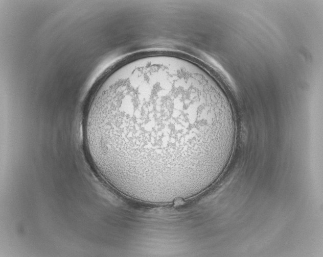 X0000115271368200911271937