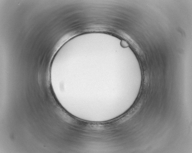 X0000115271370200911271937