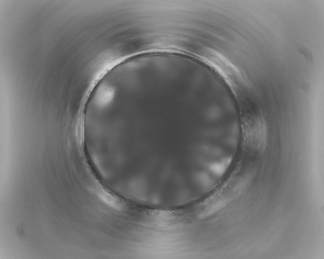 X0000115271371200911271937