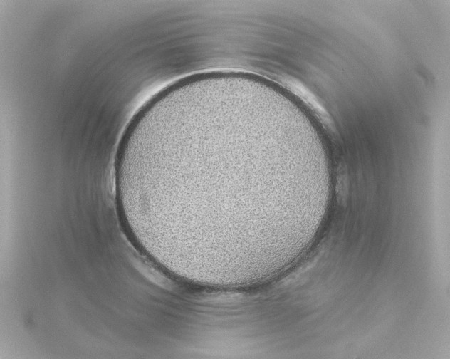 X0000115271372200911271937