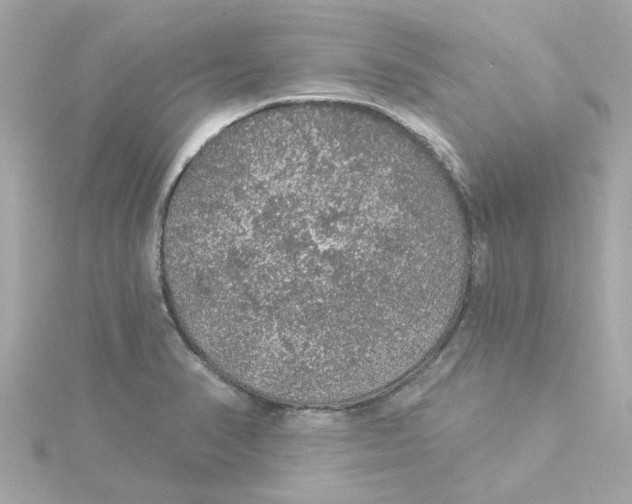 X0000115271374200911271937