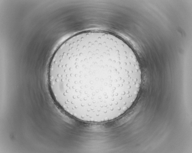 X0000115271375200911271937