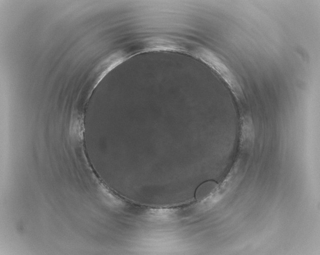 X0000115271377200911271937