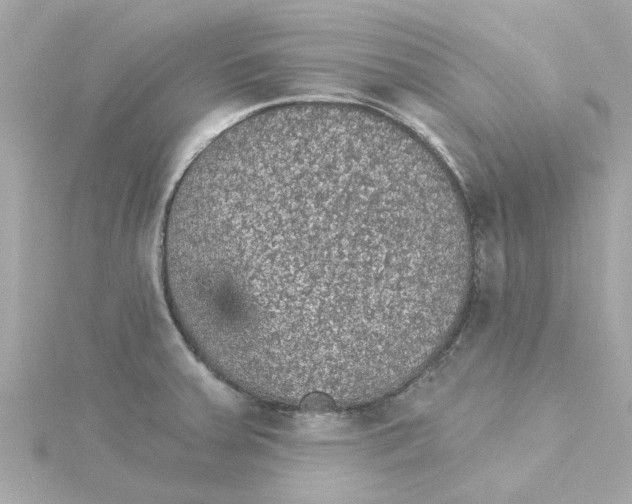 X0000115271379200911271937