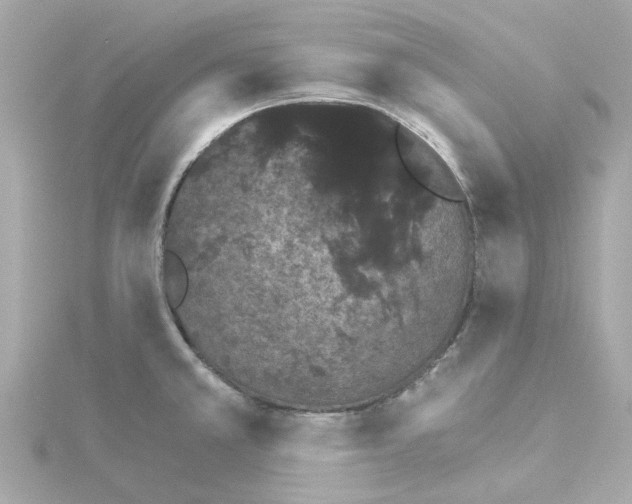 X0000115271381200911271937