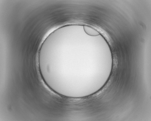 X0000115271382200911271937