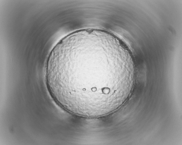 X0000115271383200911271937