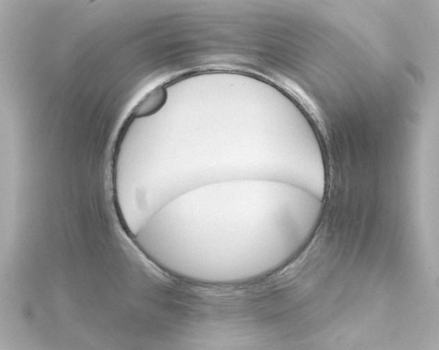 X0000115271384200911271937