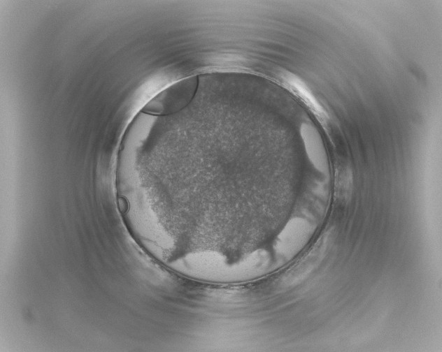 X0000115271386200911271937