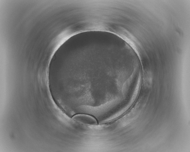 X0000115271389200911271937