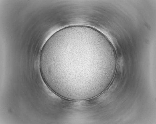 X0000115271390200911271937