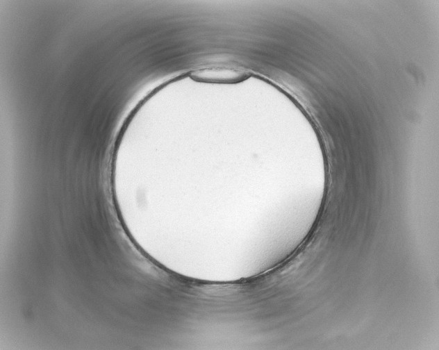 X0000115271392200911271937