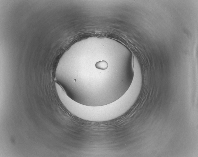 X0000115271395200911271936