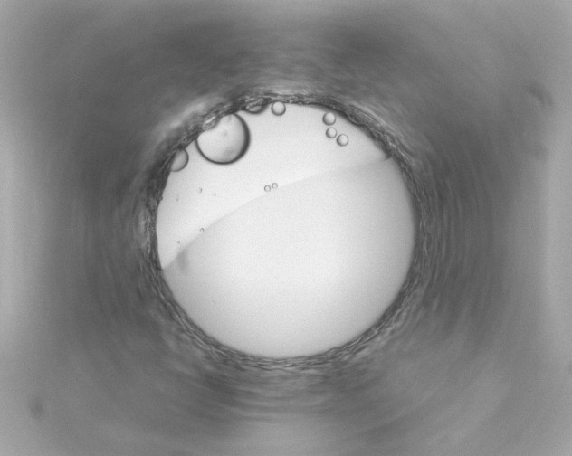 X0000115271398200911271936