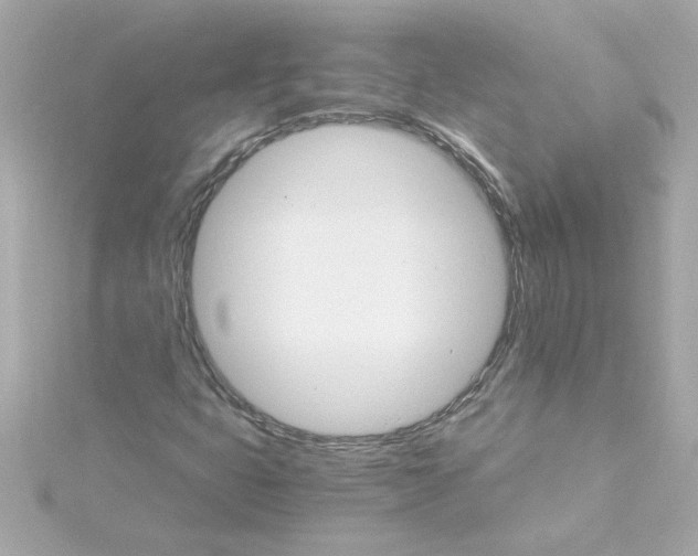 X0000115271399200911271936