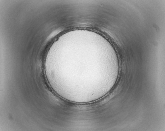 X0000115271402200911271936