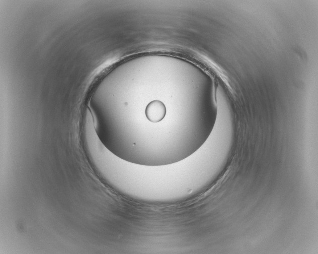 X0000115271411200911271936