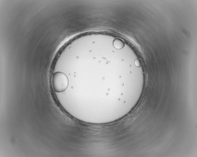 X0000115271412200911271936