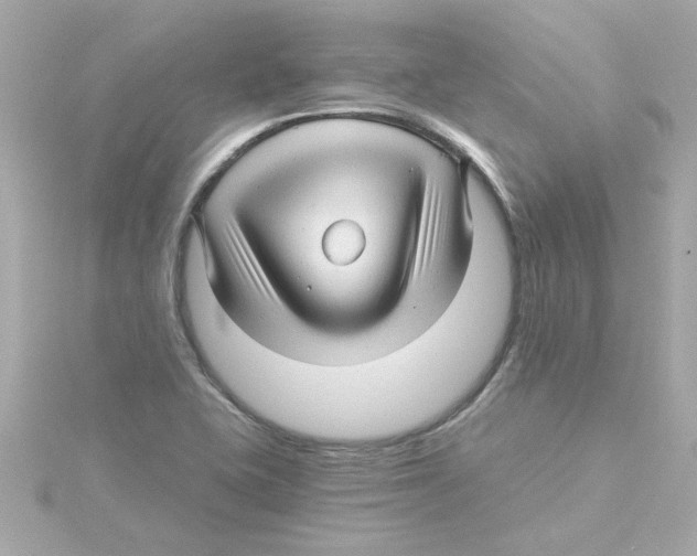 X0000115271415200911271936