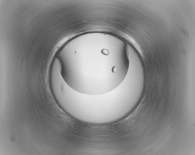 X0000115271419200911271936