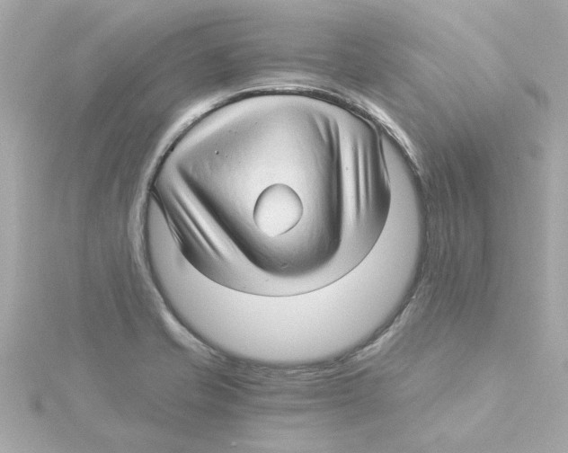 X0000115271421200911271936