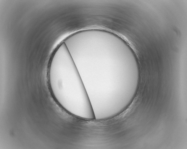 X0000115271422200911271936