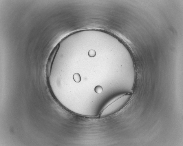 X0000115271423200911271936