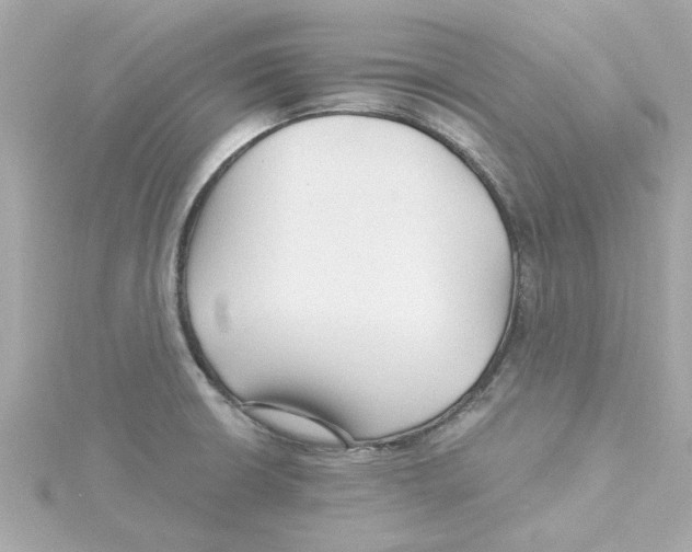 X0000115271426200911271937