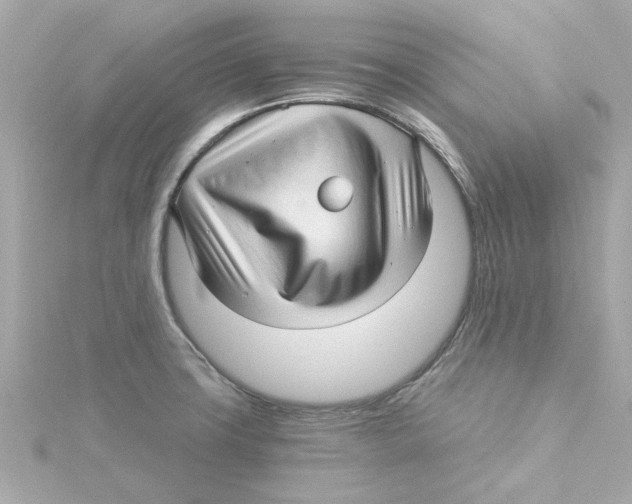 X0000115271427200911271937