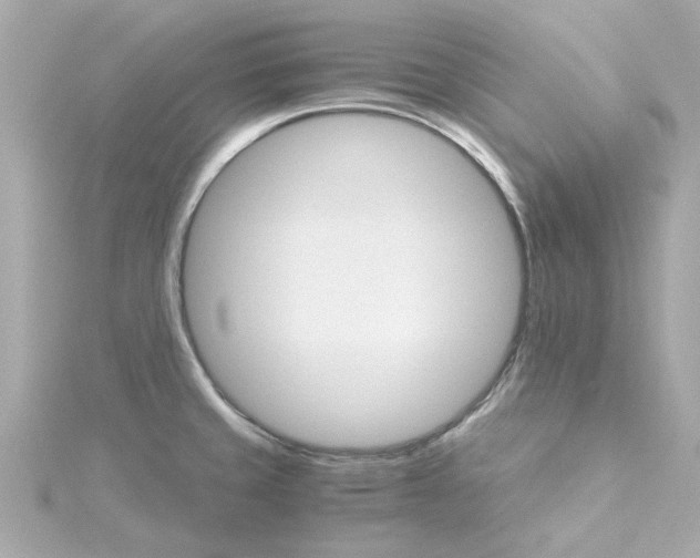 X0000115271429200911271937