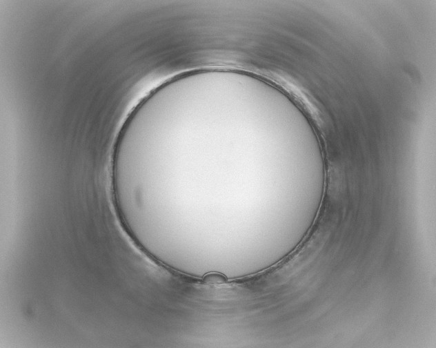 X0000115271432200911271937