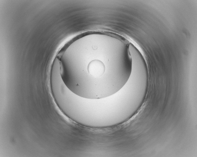 X0000115271437200911271937