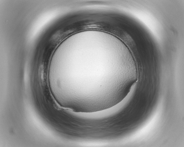 X0000115271438200911271937