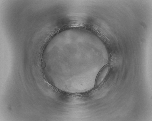 X0000115271441200911271936