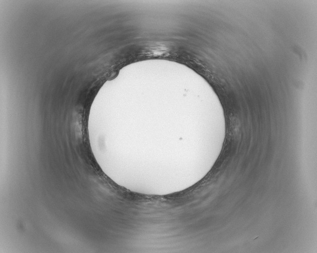 X0000115271442200911271936