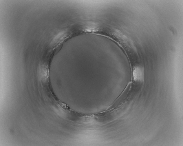 X0000115271444200911271936