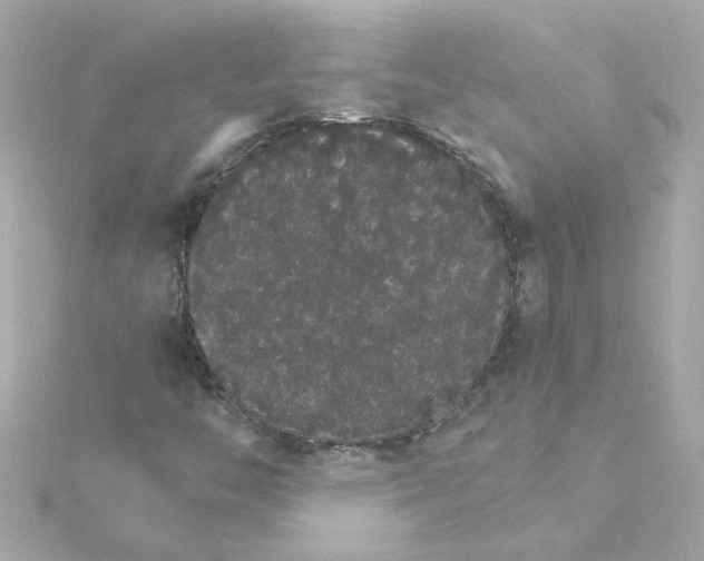 X0000115271446200911271936