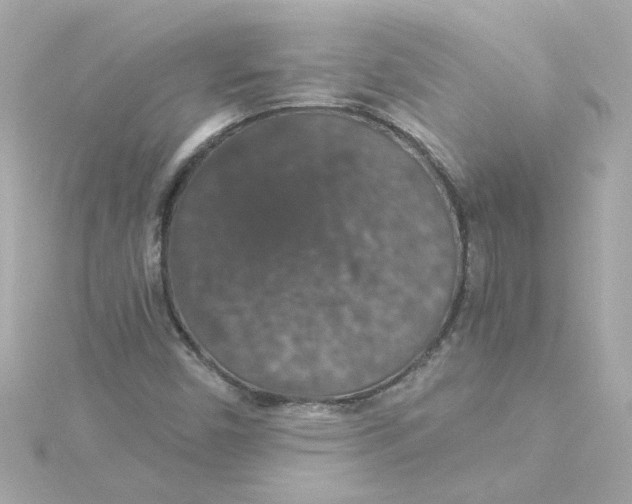 X0000115271450200911271936