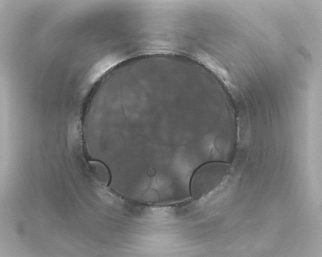 X0000115271453200911271936