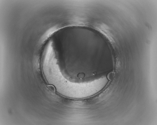 X0000115271455200911271936