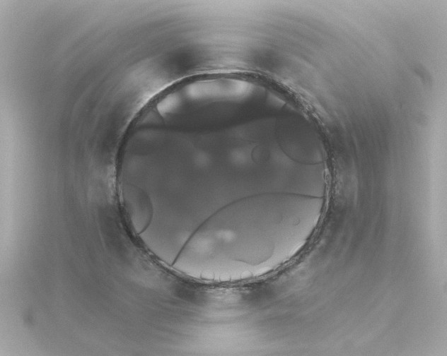 X0000115271457200911271936