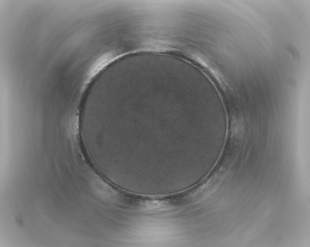 X0000115271459200911271936