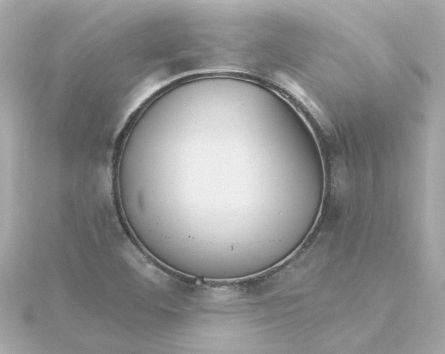 X0000115271460200911271936