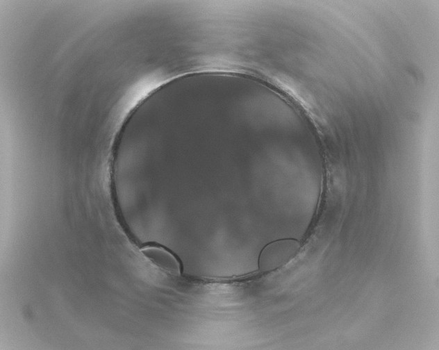 X0000115271463200911271936