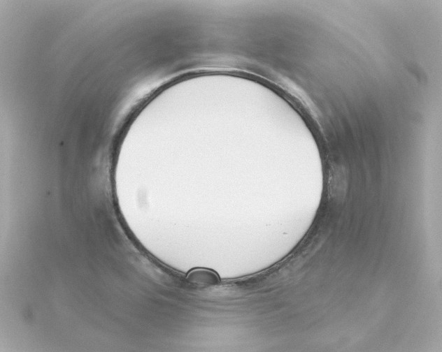 X0000115271464200911271936