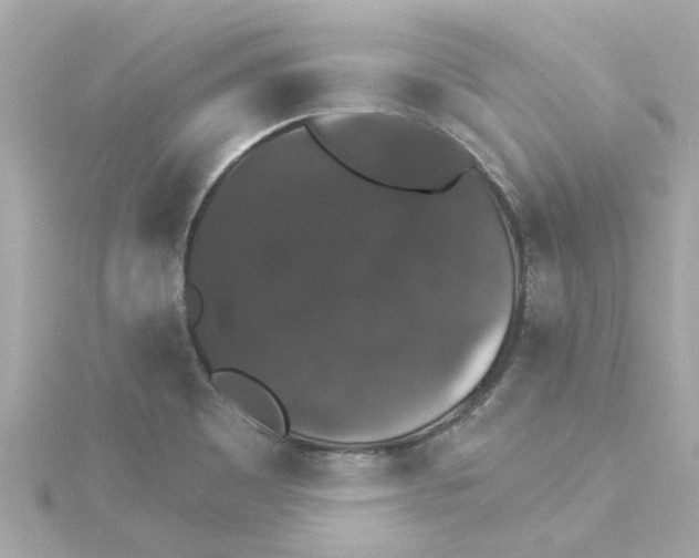 X0000115271465200911271936