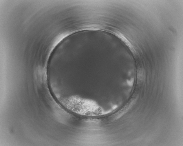 X0000115271466200911271936