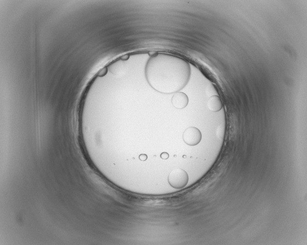 X0000115271467200911271936