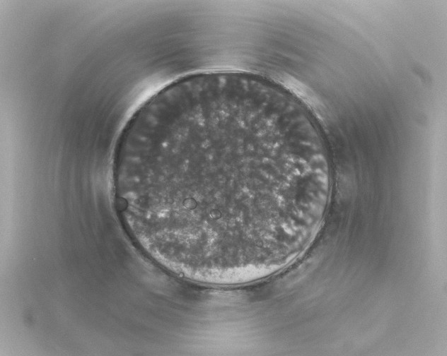 X0000115271469200911271936