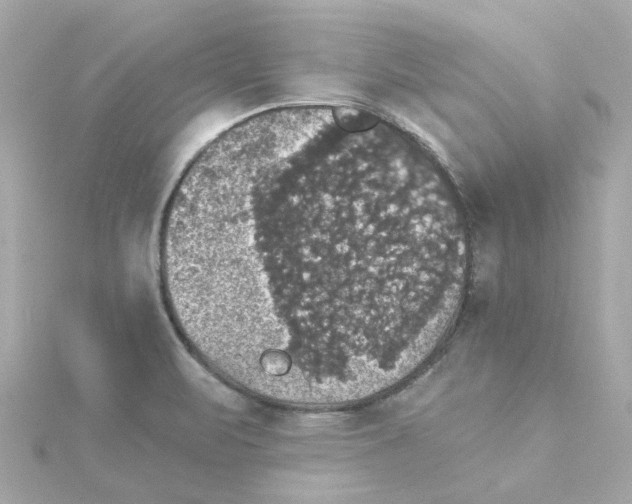 X0000115271471200911271936